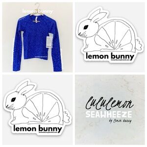 lululemon Limited Ed Swiftly Tech Long Sleeve SeaWheeze Chroma Psychic Sz 4 NWT